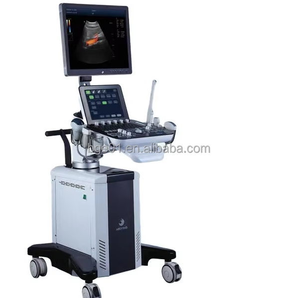 151-Good Selling 3D Color Doppler Imaging Diagnostic System Ultrasound Scanner for Metal Plastic Electri.jpg
